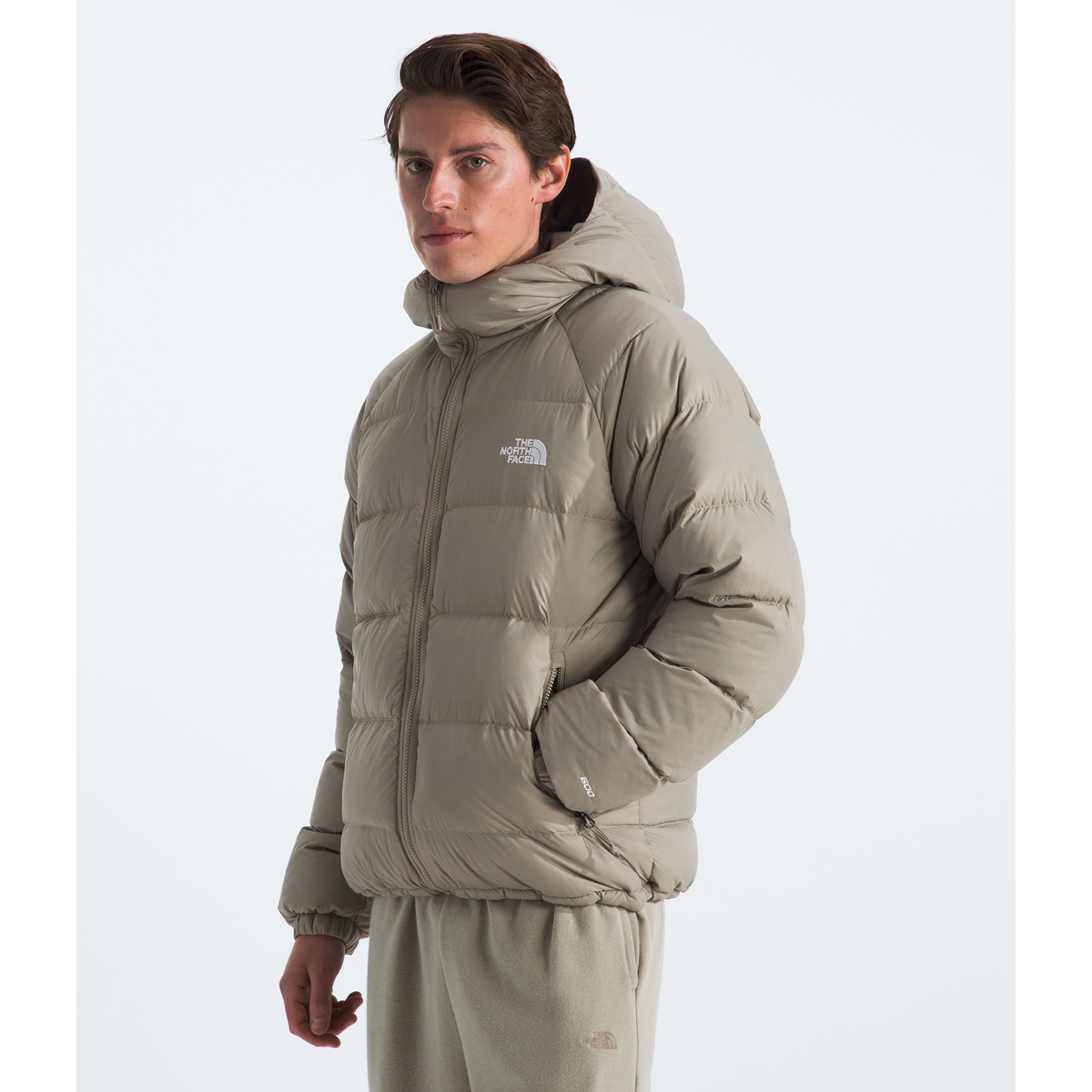 The North Face Men's Hydrenalite  Hoodie