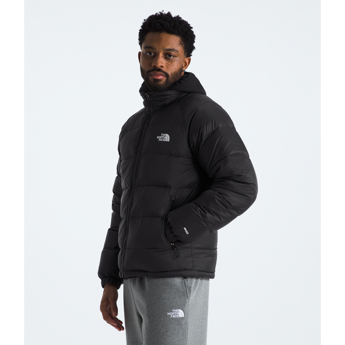 The North Face Men's Hydrenalite wn Jacket