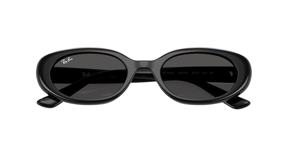 Ray-Ban RB4441D