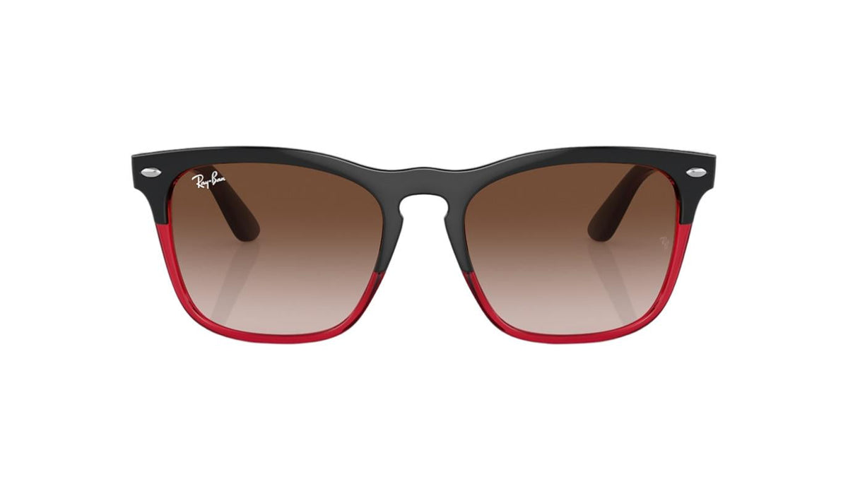 Ray-Ban Steve RB4487