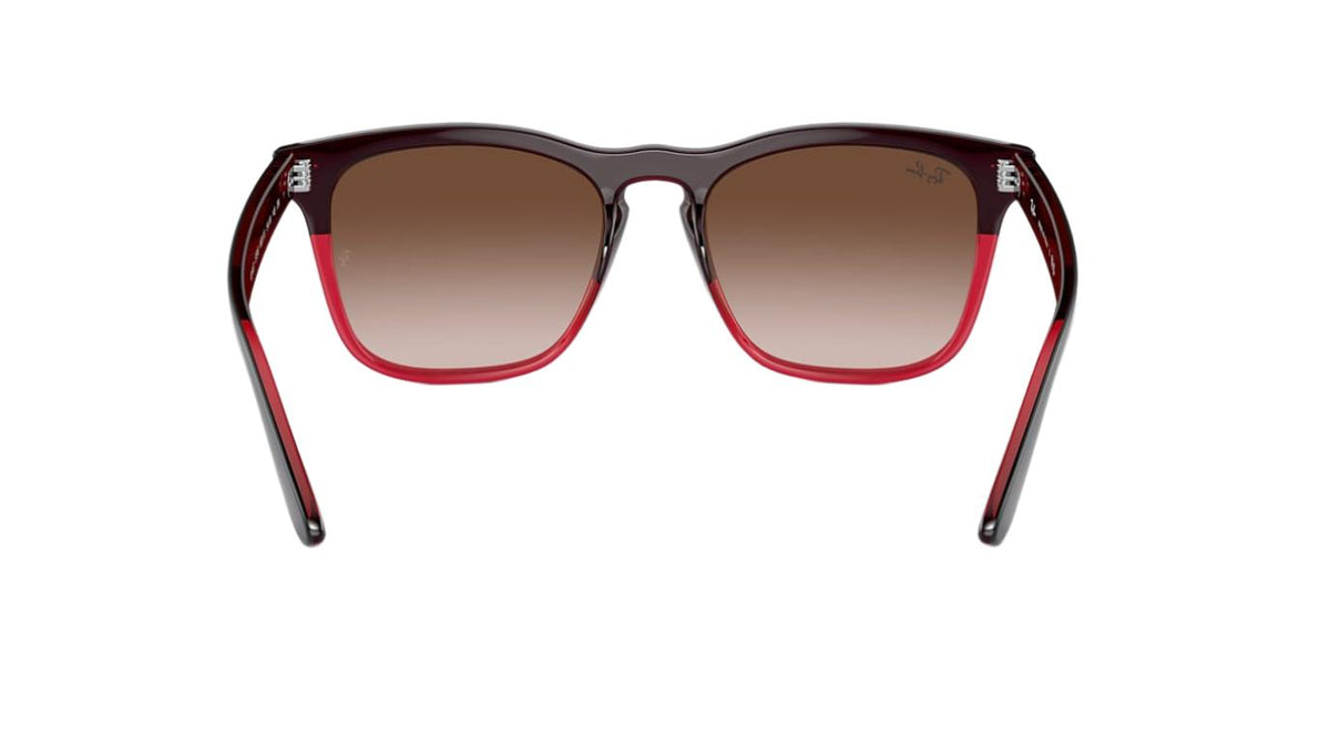 Ray-Ban Steve RB4487