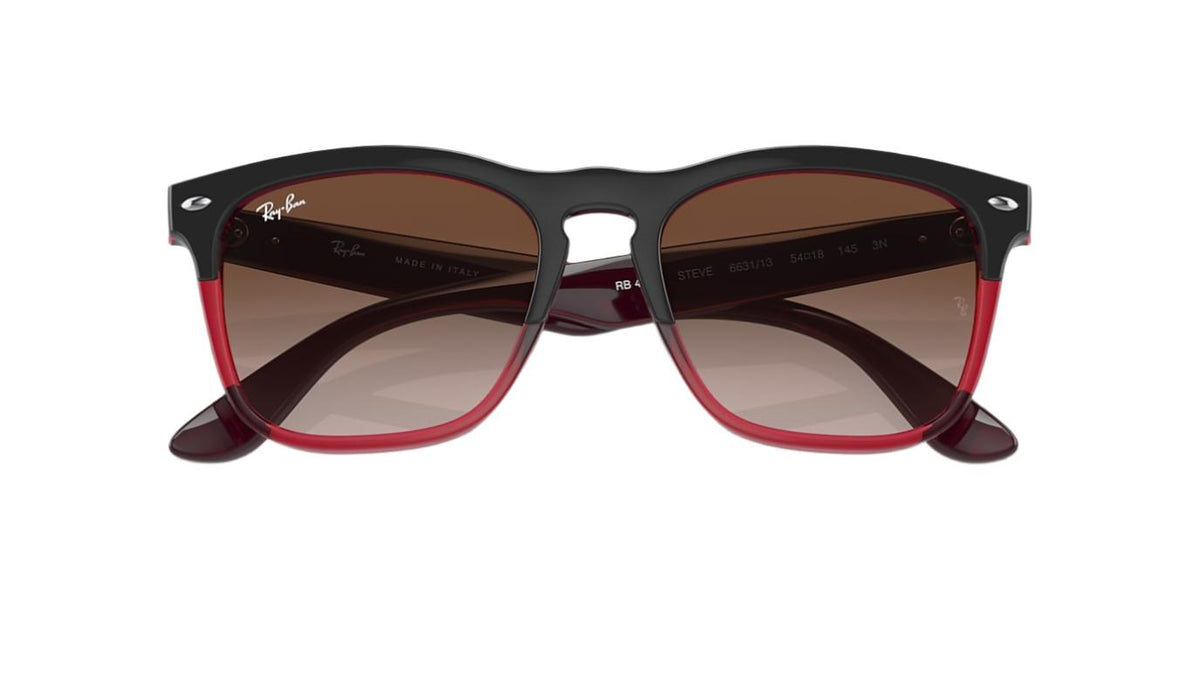 Ray-Ban Steve RB4487