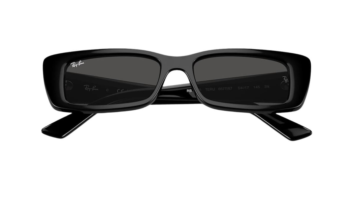 Ray-Ban Teru RB4425
