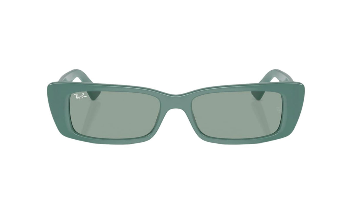 Ray-Ban Teru RB4425
